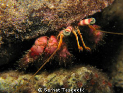 canon G9   YS 110 by Serhat Tasgedik 